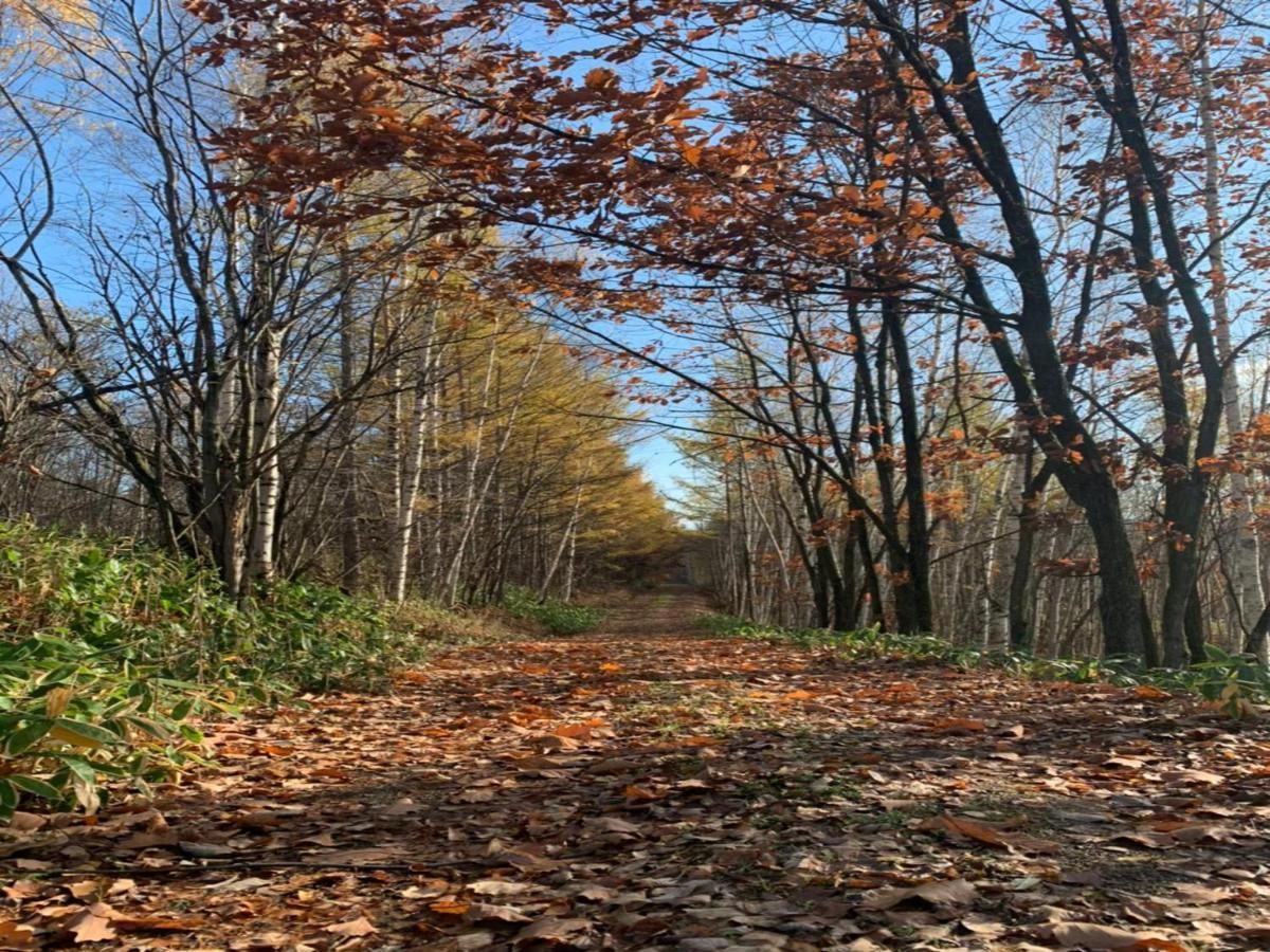 Maple Farm Villa Aszahikava Kültér fotó